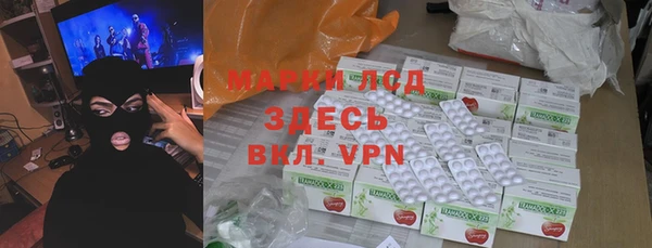 прущие грибы Аркадак
