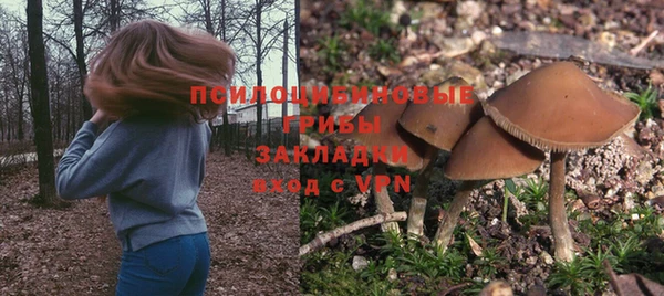 гашиш Арсеньев