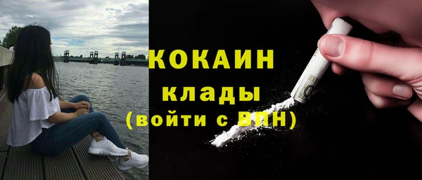 прущие грибы Аркадак