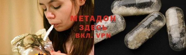 прущие грибы Аркадак