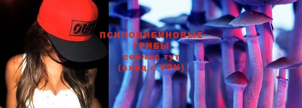 гашиш Арсеньев