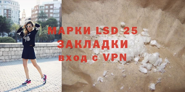 прущие грибы Аркадак