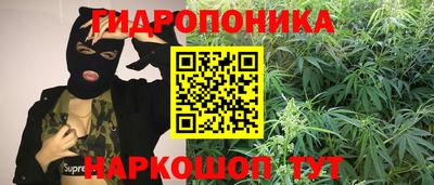 прущие грибы Среднеуральск