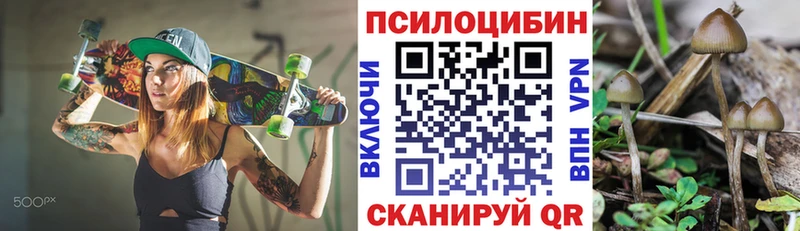Псилоцибиновые грибы Psilocybine cubensis  Нурлат 
